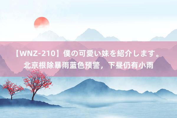 【WNZ-210】僕の可愛い妹を紹介します。 北京根除暴雨蓝色预警，下昼仍有小雨