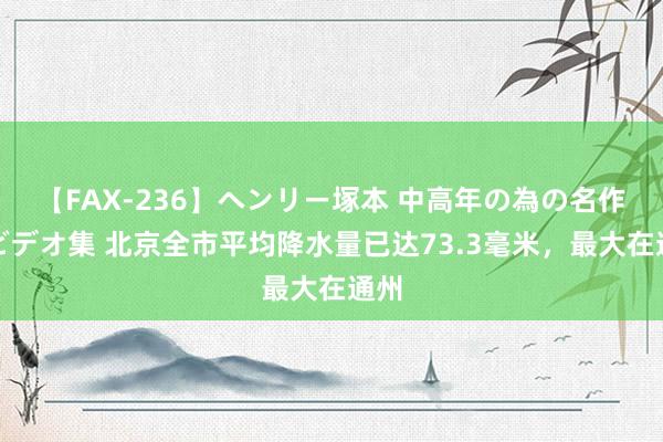 【FAX-236】ヘンリー塚本 中高年の為の名作裏ビデオ集 北京全市平均降水量已达73.3毫米，最大在通州