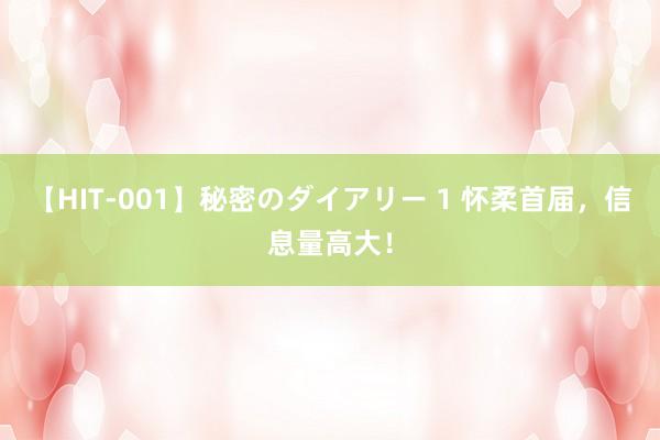 【HIT-001】秘密のダイアリー 1 怀柔首届，信息量高大！