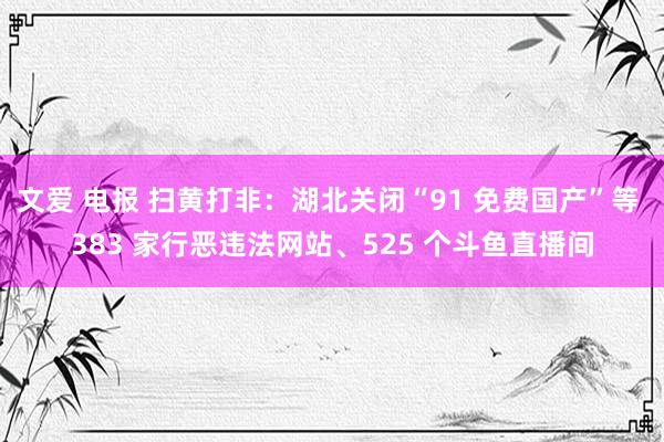 文爱 电报 扫黄打非：湖北关闭“91 免费国产”等 383 家行恶违法网站、525 个斗鱼直播间